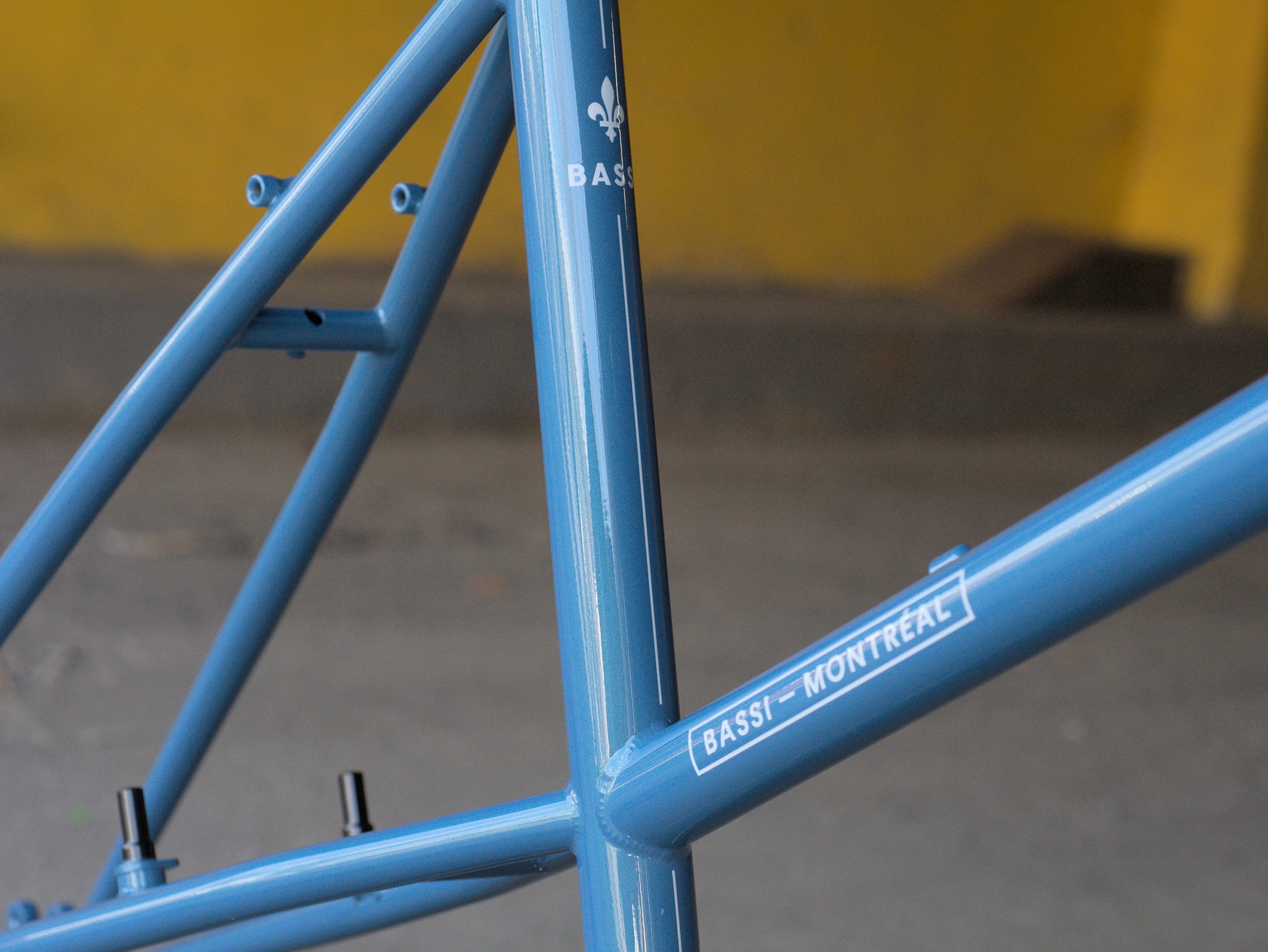 Bassi Rachel Frameset