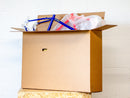 Double Frame Transport Box