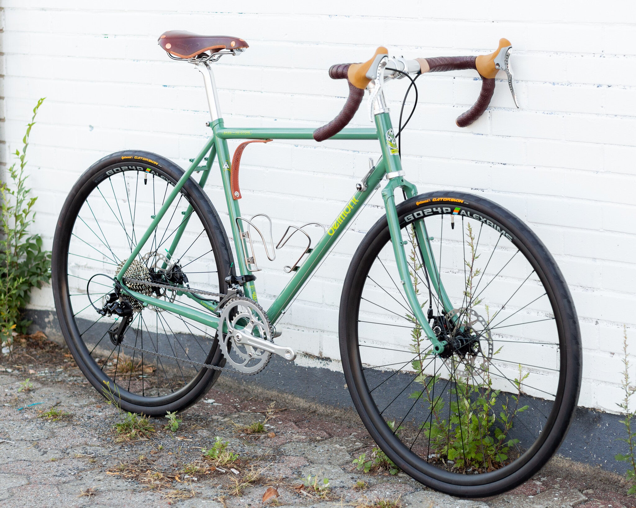 gatorbelmont-3.jpg