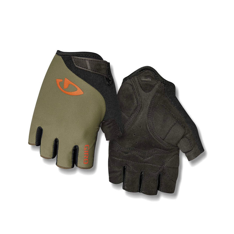 Olive & Orange / M