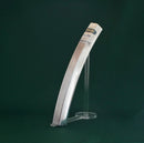 Honjo Fenders - 700C Smooth