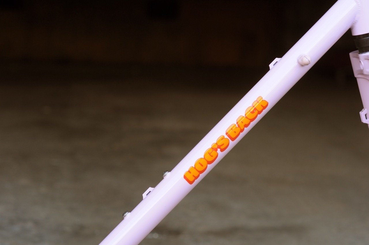 Bassi Hog's Back Frameset - 2023 Colours