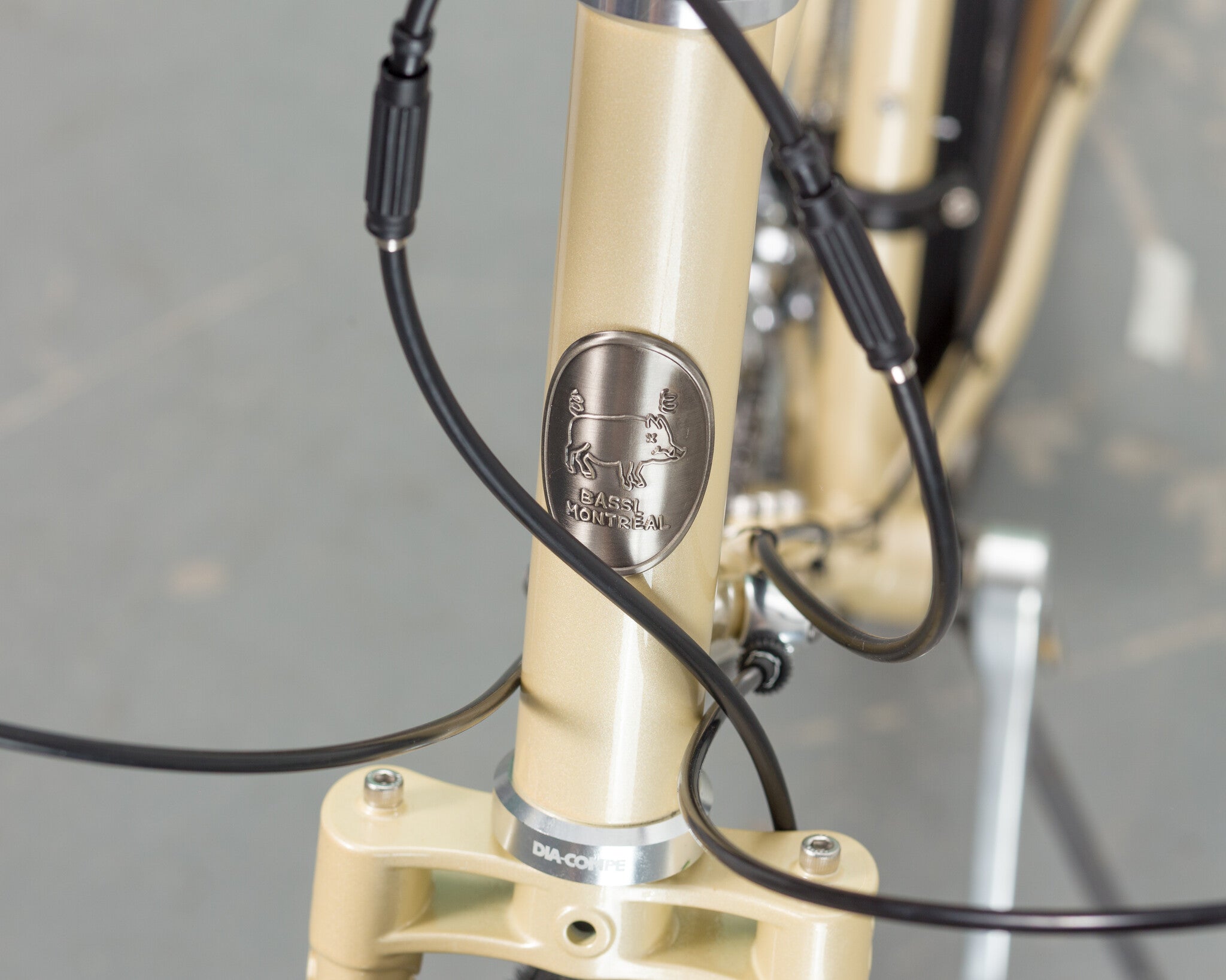 Complete Bassi Hog's Back Tourer