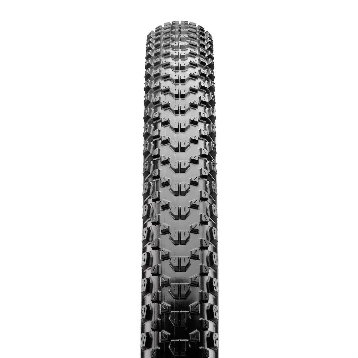 Pneu Maxxis Ikon Pliable Beige
