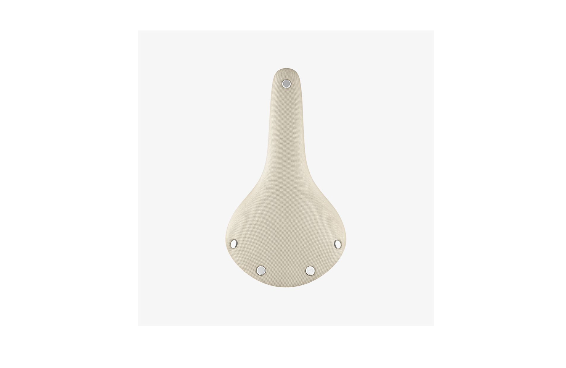 Brooks Cambium C17 Special Saddle