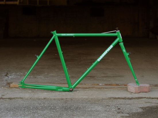Bassi Bloomfield Frame & Fork V2 (2023)
