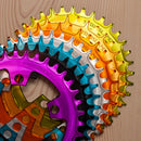 Stridsland 110BCD Narrow-Wide Chainring