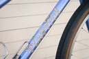 Rivendell Platypus - Step-Through Countrybike Frame