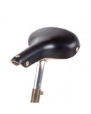 Berthoud Aubisque Saddle