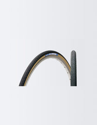 Panaracer Pasela PT Tire