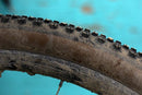René Herse Oracle Ridge Tire 700 x 48