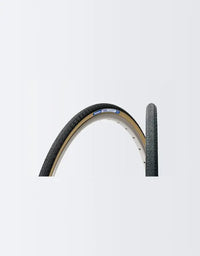 Panaracer Pasela PT Tire