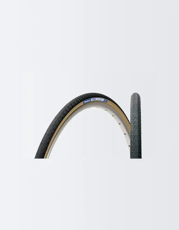 Panaracer Pasela PT Tire