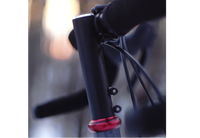 Chromo Peeper Stem