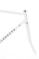 Bassi Villeneuve Fork