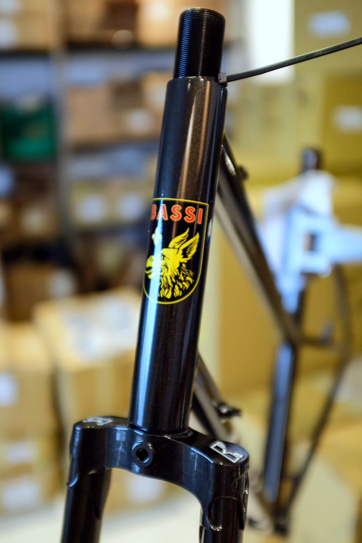 Bassi Rachel Frameset