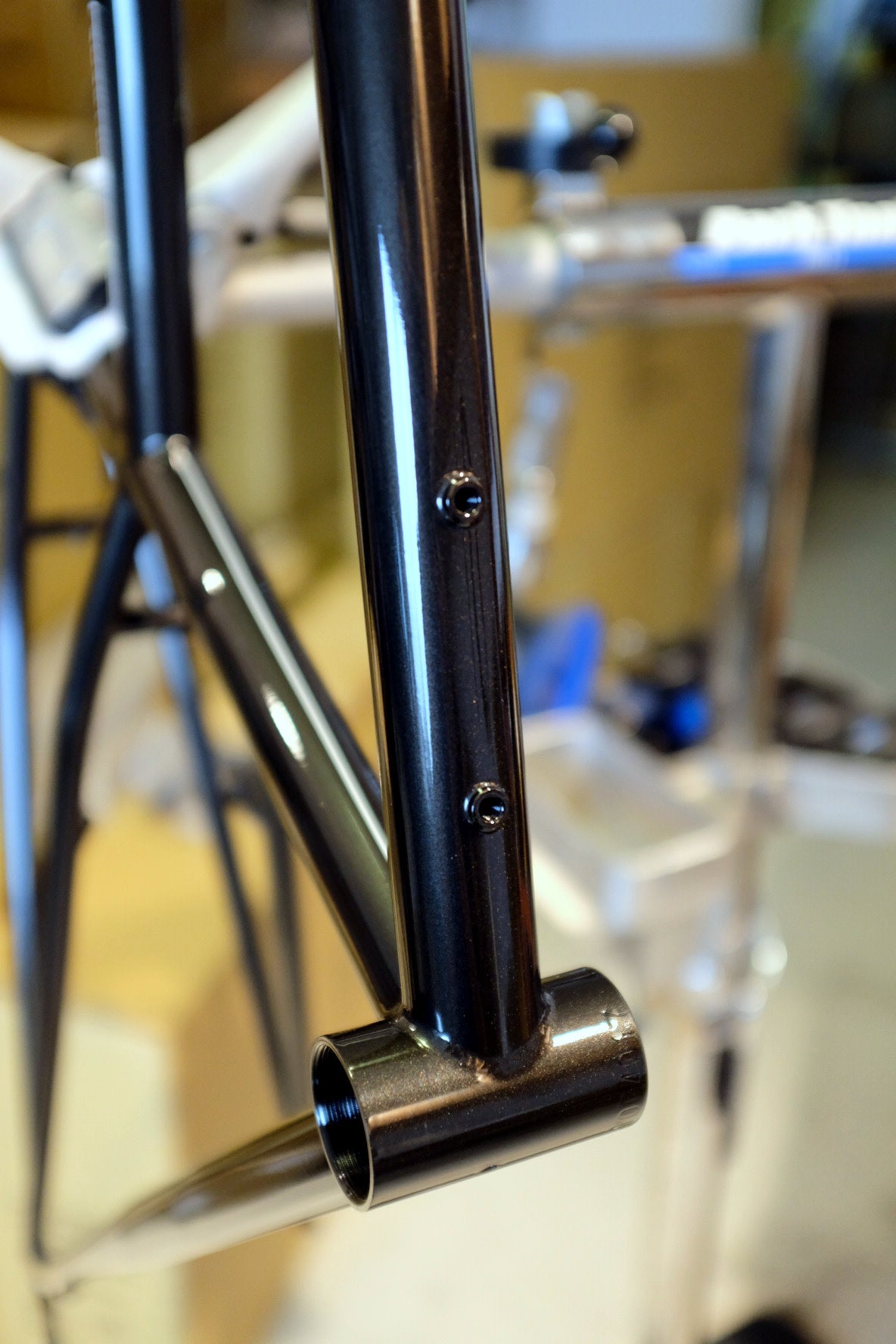 Bassi Rachel Frameset