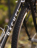 Bassi Rachel Asphalt Demo