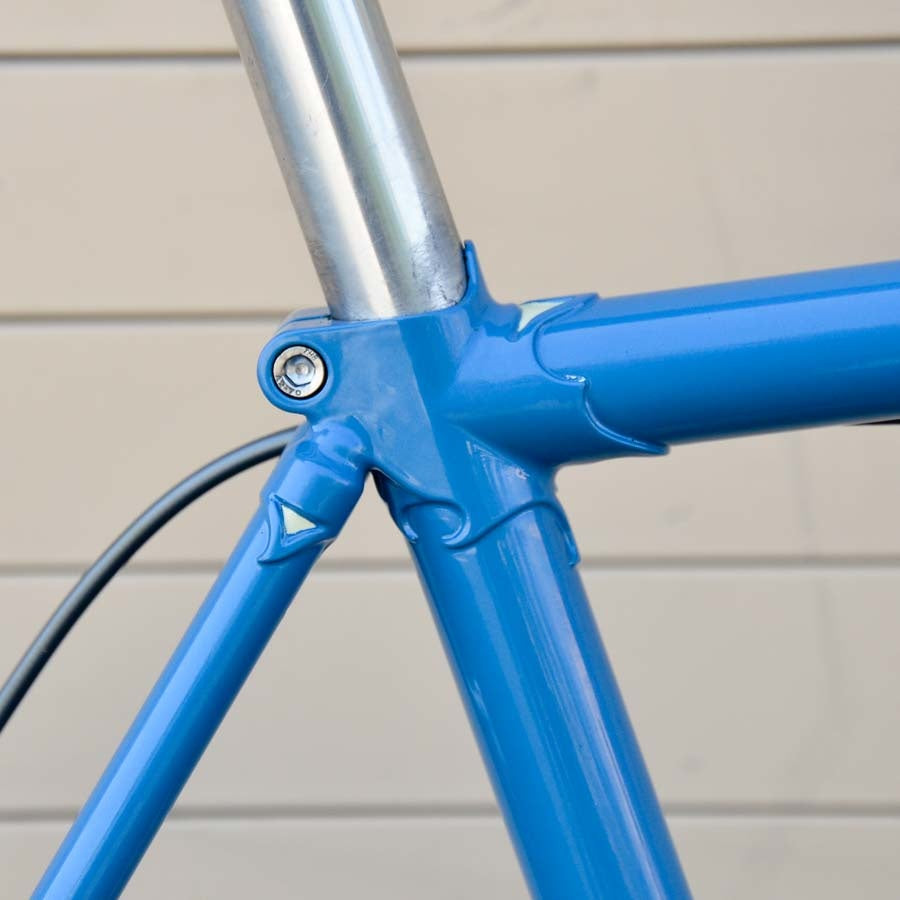 Homer Blue 51cm