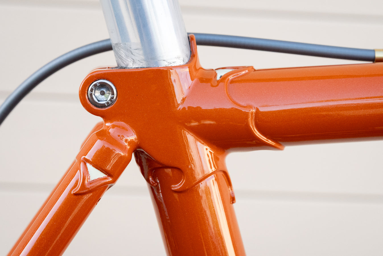 Leo Roadini Road Frame