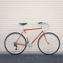 Leo Roadini Road Frame