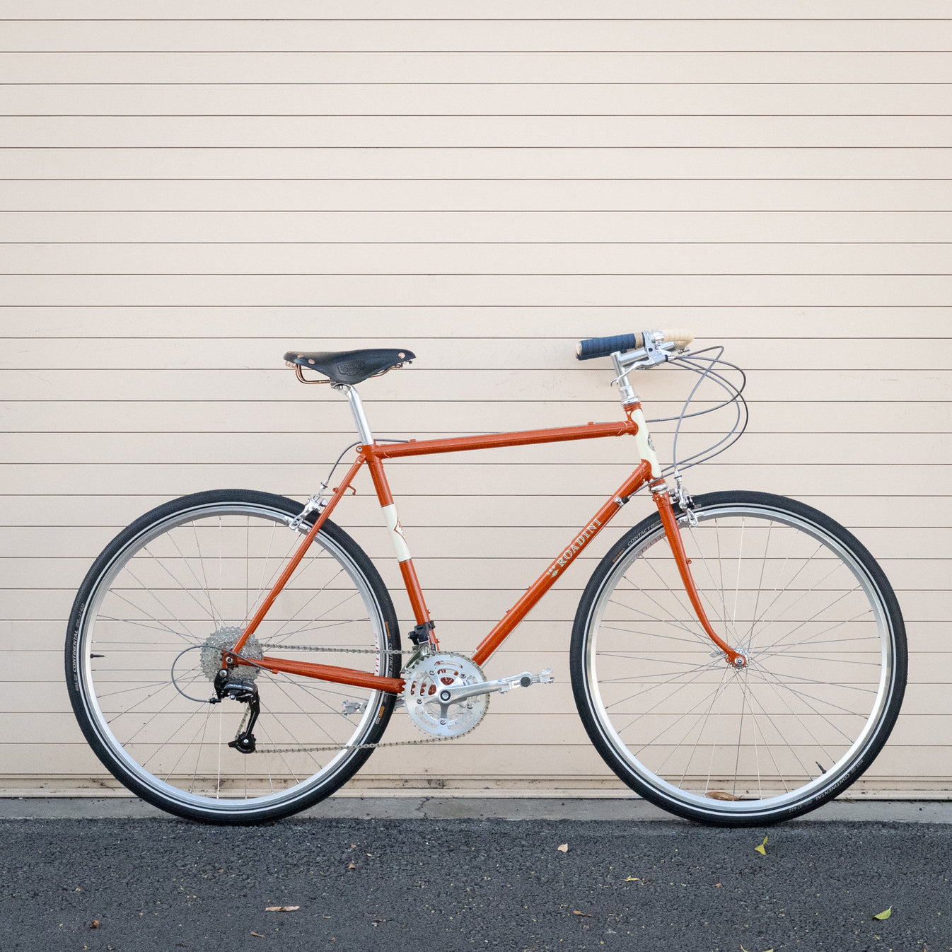 Leo Roadini Road Frame