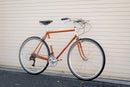 Leo Roadini Road Frame