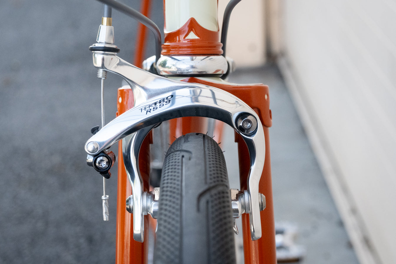 Leo Roadini Road Frame