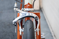 Leo Roadini Road Frame
