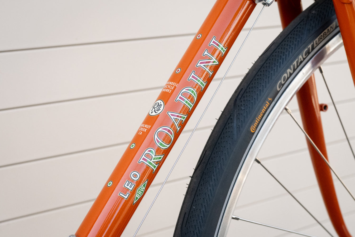 Leo Roadini Road Frame
