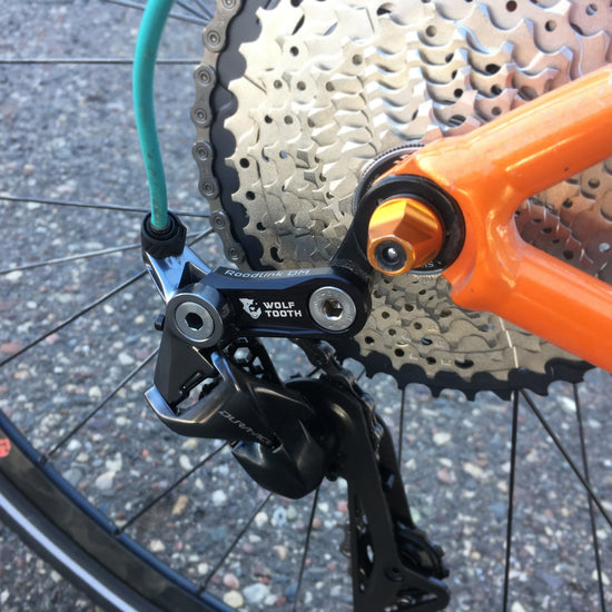 RoadLink DM Derailleur Hanger Extension