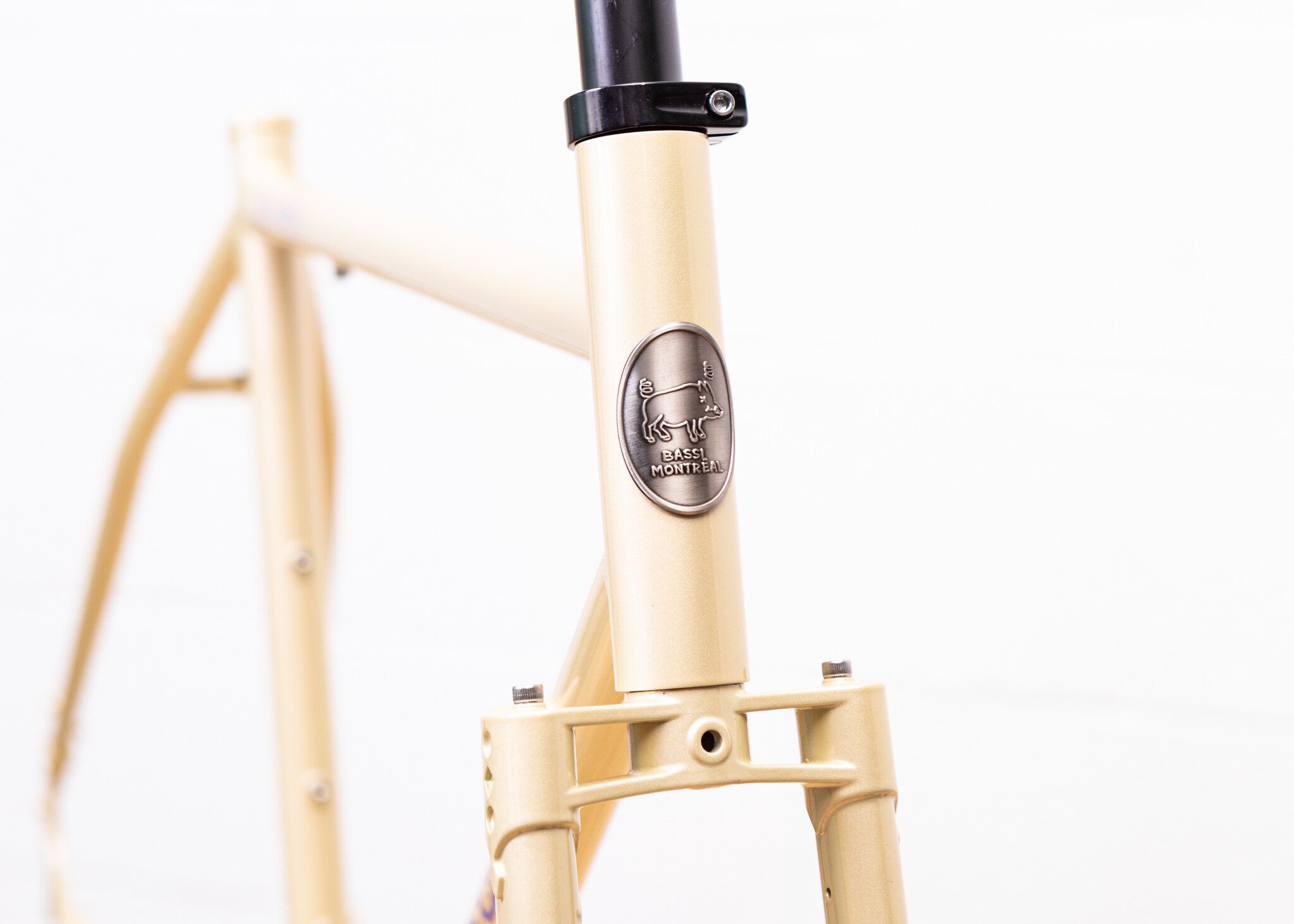 Bassi Hog's Back Frameset