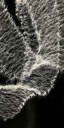 Spray.Bike Paint - Cobweb Splatter Series