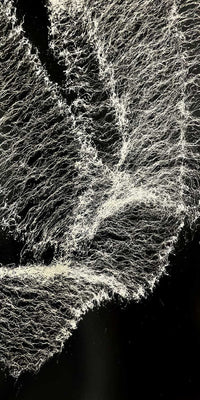 Spray.Bike Paint - Cobweb Splatter Series