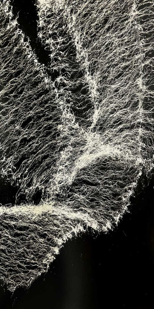 Spray.Bike Paint - Cobweb Splatter Series