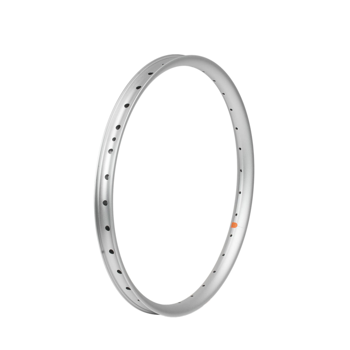20" / Silver / 32h