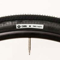 Ultradynamico Cava Robusto Tire