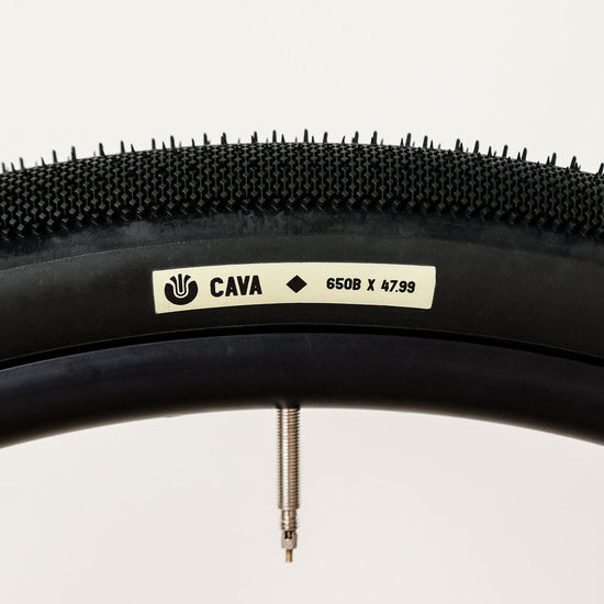 Ultradynamico Cava Robusto Tire