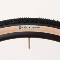 Ultradynamico Cava JFF Tire