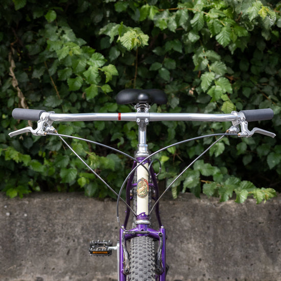 Guidon Wavie